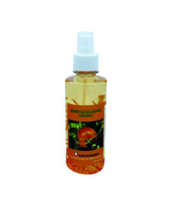 JABON LIQUIDO DE CALABAZA 250 ML