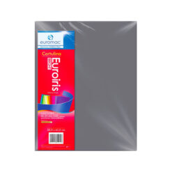 CARTULINA EUROIRIS GRIS