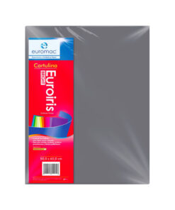 CARTULINA EUROIRIS GRIS 50X65CM