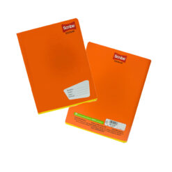 CUADERNO SCRIBE FRANCES ENGRAPADO DE RAYA 6230 100 HJS