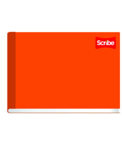 CUADERNO F.I. RAYA 100H SCRIBE 4520 COSIDO