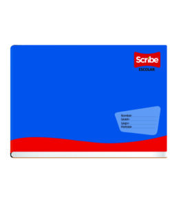 CUADERNO DE RAYAF.I. D.RAYA 100HJS SCRIBE 4524 COSI