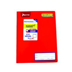 CUADERNO NORMA COLOR PROFESIONAL COSIDO RAYA 100 HJS