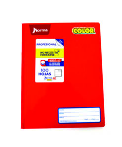CUADERNO PROFESIONAL RAYA COSIDO 100 HOJAS