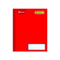 CUADERNO NORMA COLOR PROFESIONAL COSIDO RAYA 100 HJS