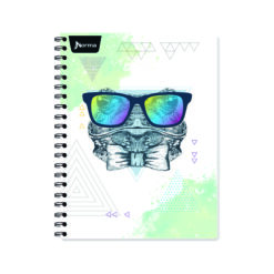 CUADERNO NORMA BASIC RAYA 100 HJS 583149