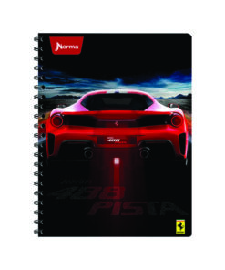 CUAD RAYA 100HJS 525150 FERRARI PROF.