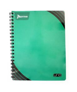 CUAD RAYA 100HJS 529989 UNO NORMA PROF