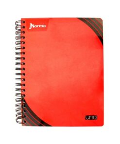 CUAD 5MM 100HJS 529991 UNO NORMA PROF AR