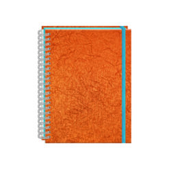 CUADERNO PROF PORTOFINO COBRA RAYA 100HJS