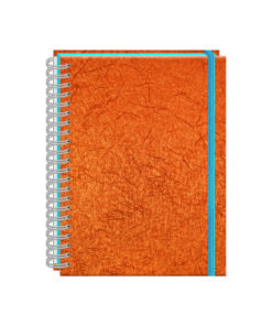 CUADERNO PROF PORTOFINO COBRA RAYA 100HJS