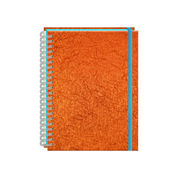 CUADERNO PROF PORTOFINO COBRA RAYA 100HJS