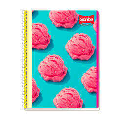 CUADERNO SCRIBE PROFESIONAL MEGA PLUS RAYA 200 HJS 6440
