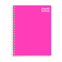 CUADERNO SCRIBE POLYCOVER RAYA 100 HJS 2050