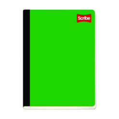 CUADERNO SCRIBE PROFESIONAL COSIDO RAYA 100 HJS 4500