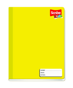 CUADERNO SCRIBE 2441 RAYA PROF 100H COSIDO