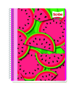 CUADERNO SCRIBE 7510 PROF.RAYA 100HJ MEG