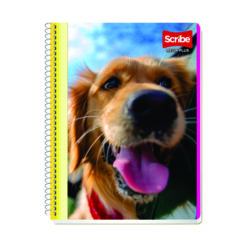 CUADERNO SCRIBE MEGA PLUS BLANCO 100 HJS 7511