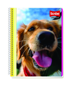 CUADERNO SCRIBE 7511 BLANCO 100HJ MEGA P