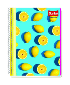 CUADERNO SCRIBE 7512 5MM 100HJS MEGA PLU