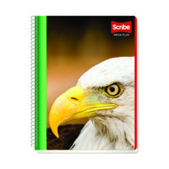 CUADERNO SCRIBE MEGA PLUS 7 MM 100 HJS 7513