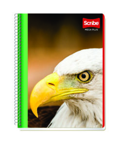 CUADERNO SCRIBE 7513 7MM 100HJS MEGA PLU