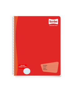 CUADERNO SCRIBE 7974 D.RAYA 100HJS ESCOL