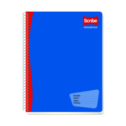 CUADERNO SCRIBE ESCOLAR BLANCO 100 HJS 7971