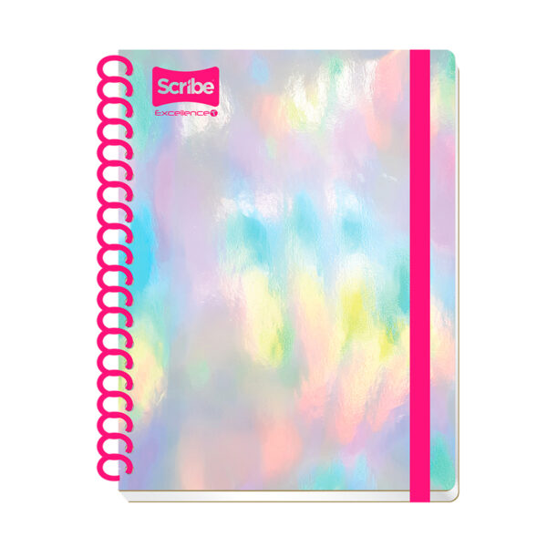 CUADERNO RAYA 200HJS 0630 EXCELLENCE T  SCRI