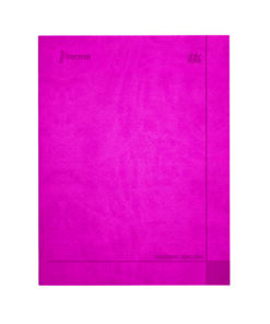 LIBRETA F.F.RAYA 100HJS EJECUTI 580641