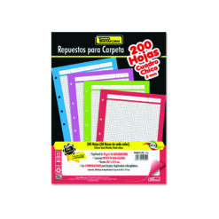 REPUESTO P/CARPETA RAYA