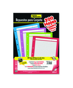 REPUESTO P/CARPETA RAYA