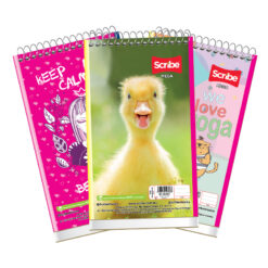 MEMO BOOK RAYA 40HJS 4580 MEGA SCRIBE