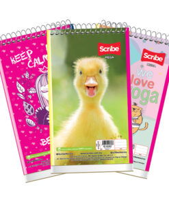 MEMO BOOK RAYA 40HJS 4580 MEGA SCRIBE
