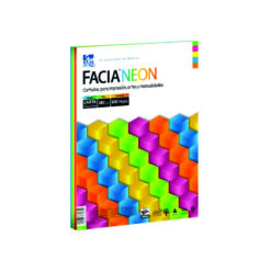 CARTULINA FACIA NEON MIX
