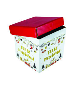 CUBO MEDIANO 30 X 30 CM