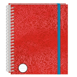 CUADERNO ARCOIRIS RAYA 100 HJS