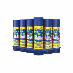 LAPIZ ADHESIVO 22 GR