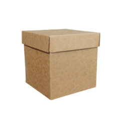 CAJA CARTON CUBO 16 X 16  CM