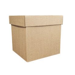 CAJA CARTON CUBO 22 X 22 CM