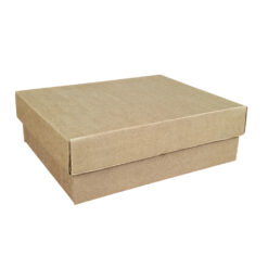 CAJA CARTON CAMISERA 25 X 21 CMS