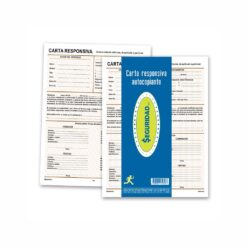 CARTA RESPONSIVA CARTA