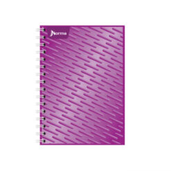 CUADERNO FORMA FRANCESA RAYA