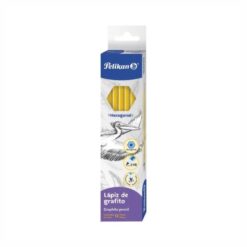 LAPIZ MEDIANO HEXAGONAL CON 12